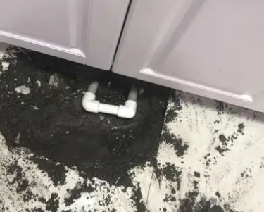 儋州查漏水哪家好